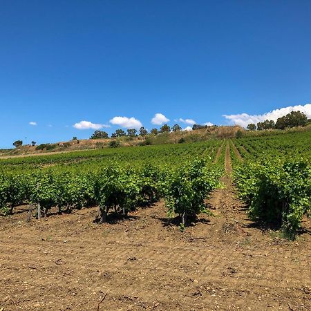 Fattoria Manostalla Villa Chiarelli باليستراتي المظهر الخارجي الصورة