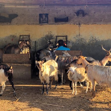 Fattoria Manostalla Villa Chiarelli باليستراتي المظهر الخارجي الصورة