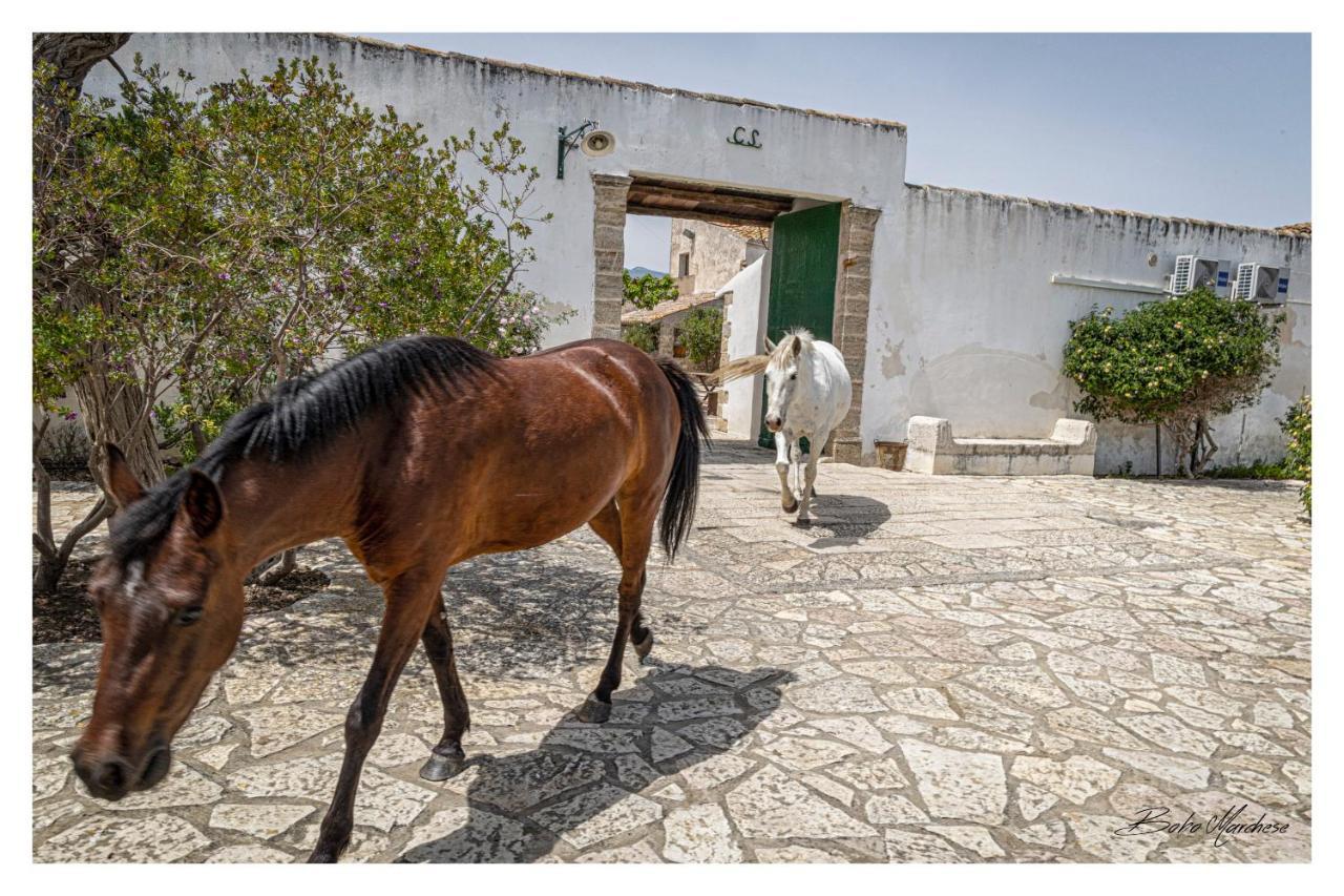 Fattoria Manostalla Villa Chiarelli باليستراتي المظهر الخارجي الصورة