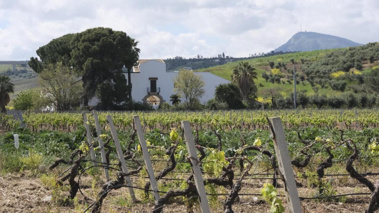 Fattoria Manostalla Villa Chiarelli باليستراتي المظهر الخارجي الصورة