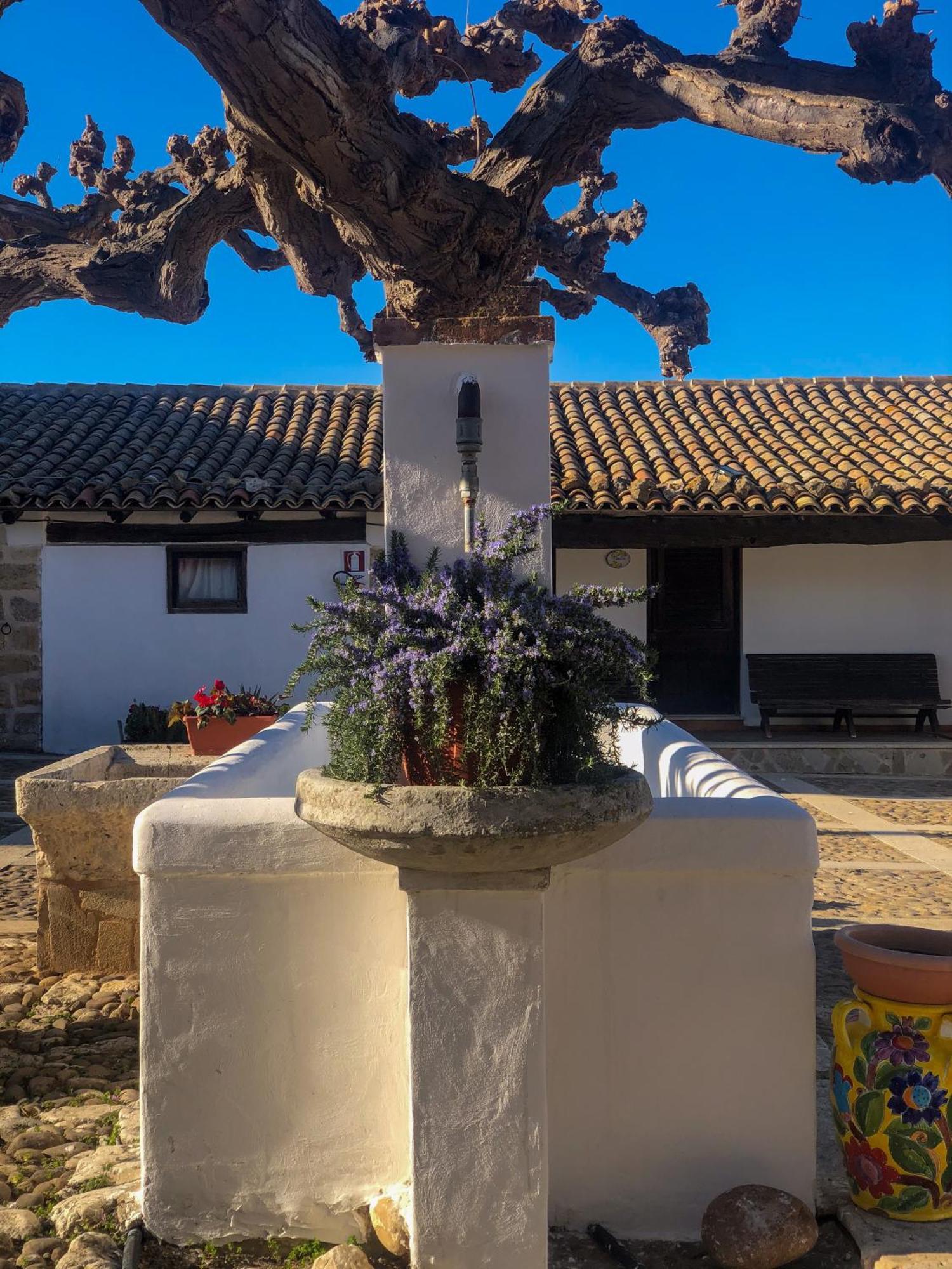 Fattoria Manostalla Villa Chiarelli باليستراتي المظهر الخارجي الصورة