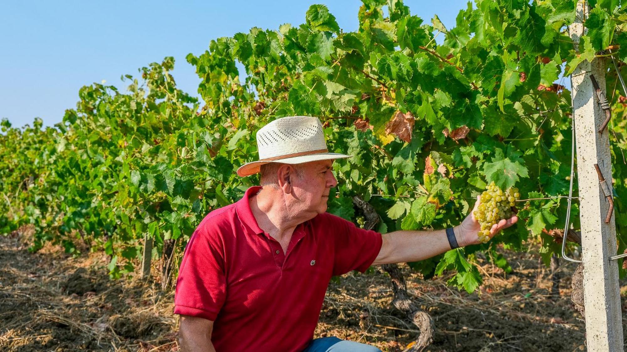 Fattoria Manostalla Villa Chiarelli باليستراتي المظهر الخارجي الصورة