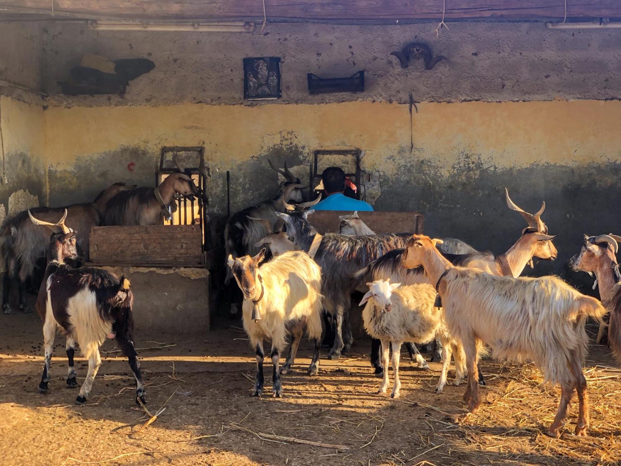 Fattoria Manostalla Villa Chiarelli باليستراتي المظهر الخارجي الصورة