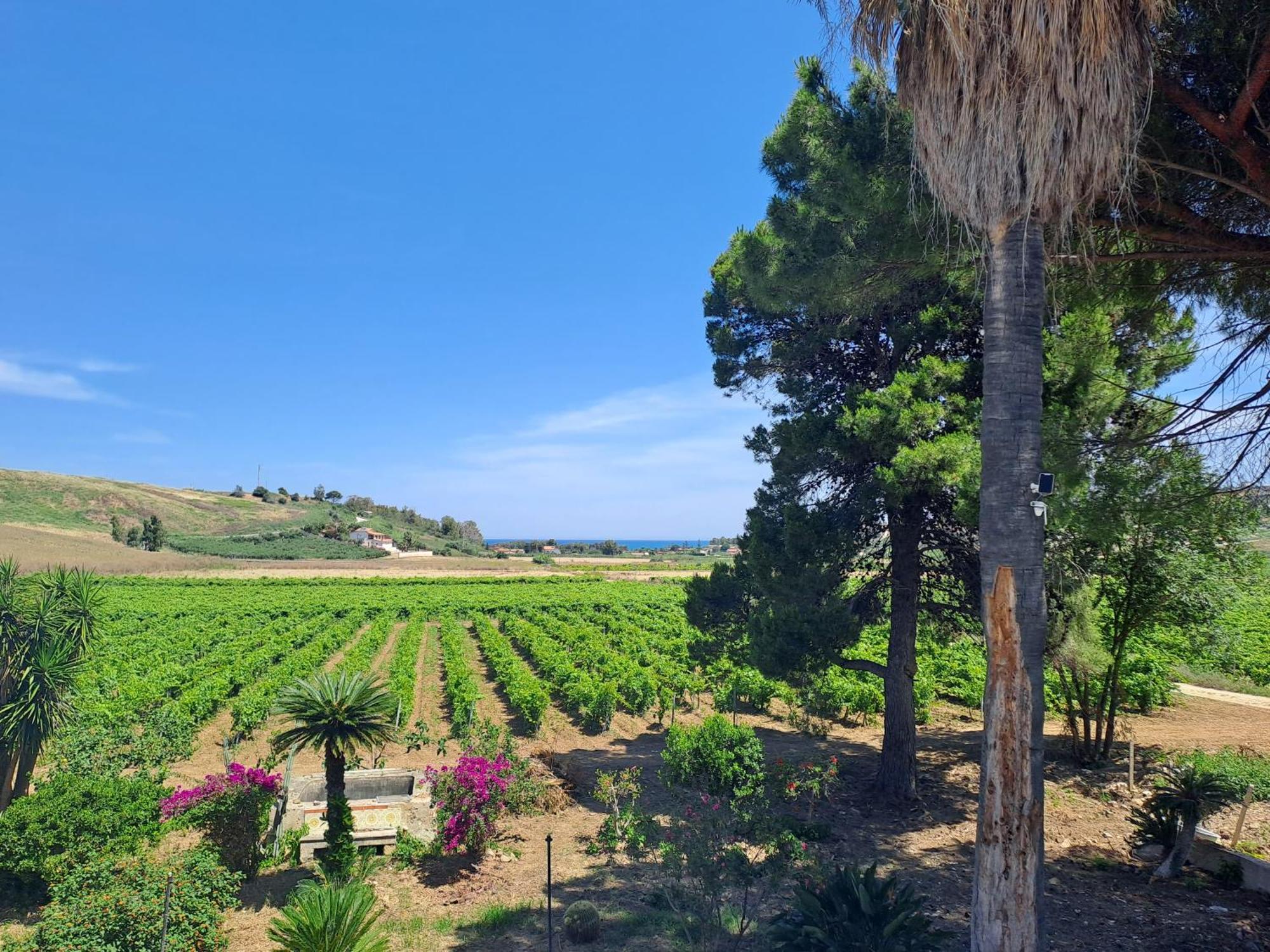 Fattoria Manostalla Villa Chiarelli باليستراتي المظهر الخارجي الصورة